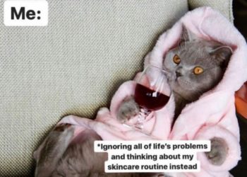 Cheers to the Soft Life